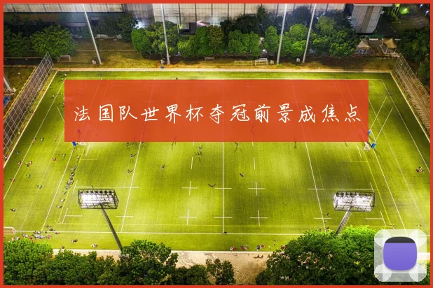 法国队世界杯夺冠前景成焦点