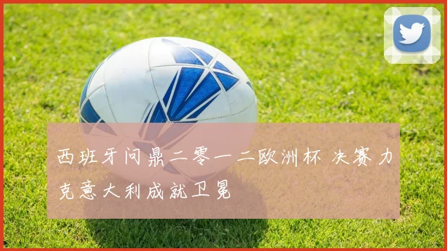 西班牙问鼎二零一二欧洲杯 决赛力克意大利成就卫冕